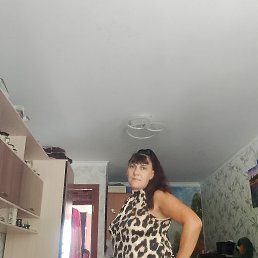 ���� ������, �����������, 54 ���� - ��������� 14 ������ 2025