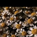 ���� �����, ������� �������� - ��������� 1 �������� 2025 � ������ ���� ����������