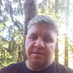 , 41, 