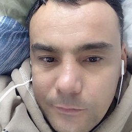 ������, �����-���������, 41 ���