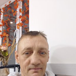 , 44, 