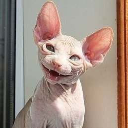 �������, ������, 23 ����