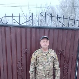 , 52, 