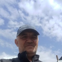 , 55, 