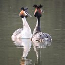 ���� �������, ������, 53 ���� - ��������� 2 ��� 2026 � ������ ������ ��������