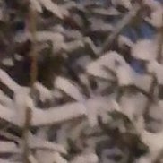 ����, 55 ���, �������