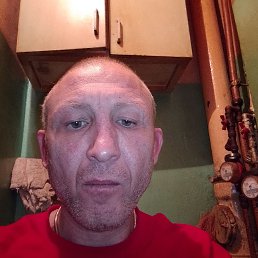 ���� ���������, ����, 45 ��� - ��������� 8 ������ 2026