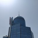  , , 49  -  4  2024    