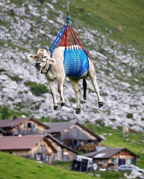 �a� c�aca�� �pa���po�a���x �opo�o� � ��e��ap�� - 3