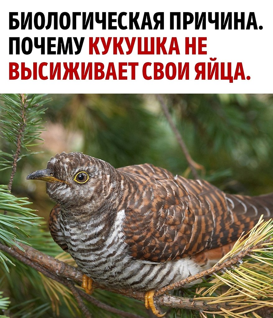 �� �������� �� ������� ��������