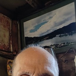, 49 , 
