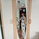 ���� ���, ����, 41 ��� - ��������� 16 ������� 2026 � ������ ���� ����������
