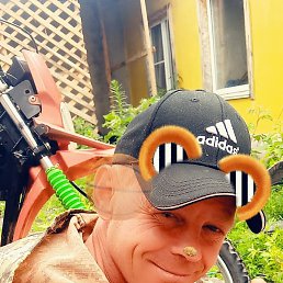 ���� �������, ������� �����, 38 ���