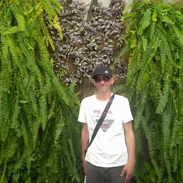 ����, 38 ���, �����������