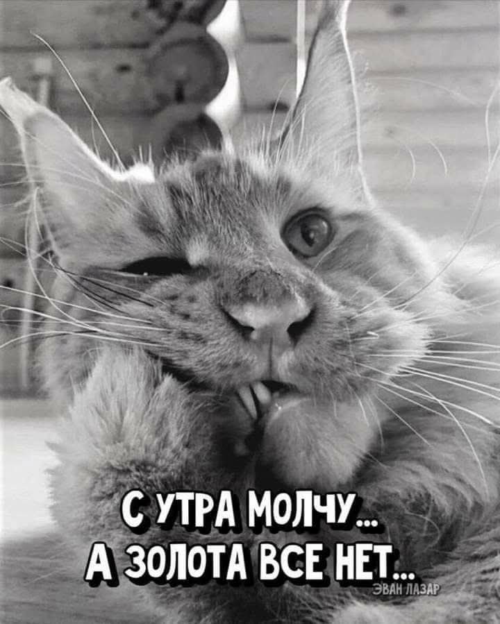:) -...
