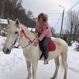, 37, 
