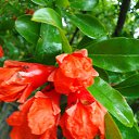 ���� �������, �����-���������, 58 ��� - ��������� 4 ������ 2025