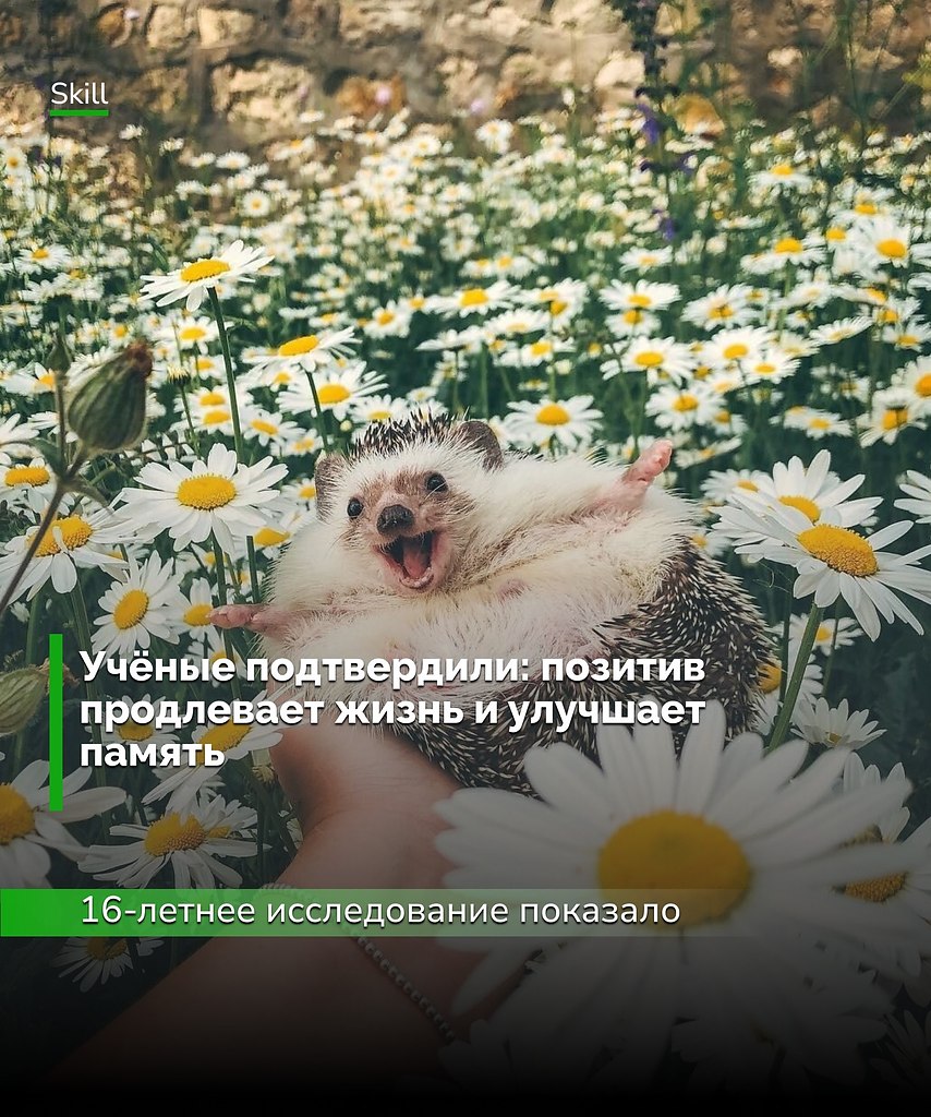     ,   .    , ...