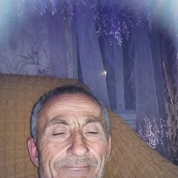 , 58 , 