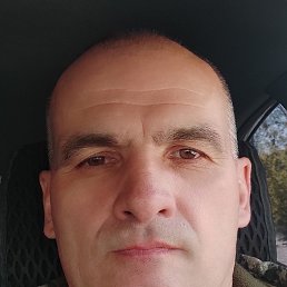 , 48, 