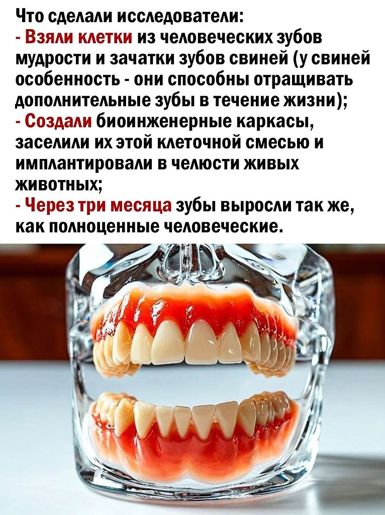  - 2  2025  20:12 - 2
