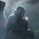 ���� ����, ������, 26 ��� - ��������� 8 ������� 2024 � ������ ���� ����������