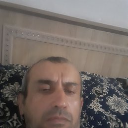 , 40, 