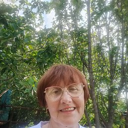 ��������, ���������, 65 ���