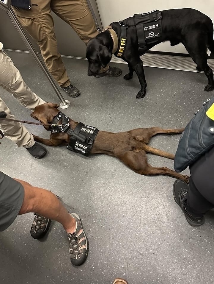  -      ,   .    , ... - 8