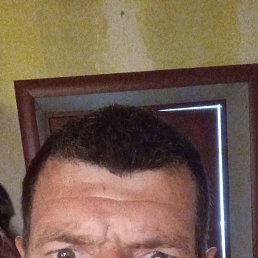 , 39, 