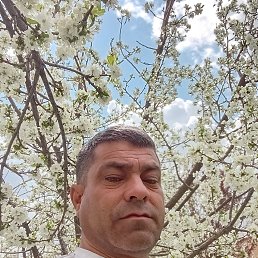 , 47, 