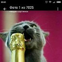 ���� ��������, ����� - ��������� 14 ������� 2023 � ������ ���� ����������