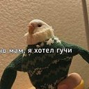  , , 19  -  9  2023    