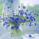 ���� �����, ������ - ��������� 13 ������� 2025 � ������ ���� ����������