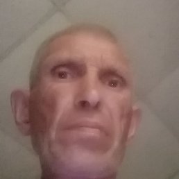, , 54 