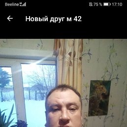 , 41, 