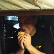 , 28 , 