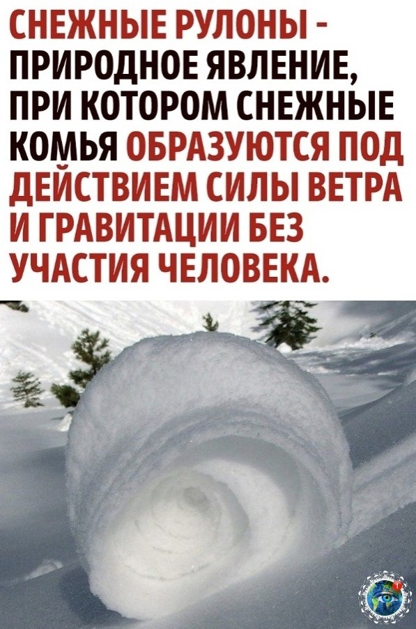ppoa ea