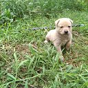 ���� �����, ���������, 40 ��� - ��������� 2 ������� 2024 � ������ ������ ��������