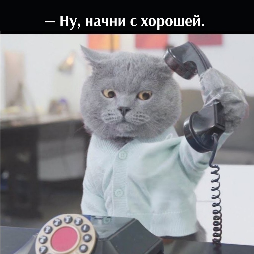       - 15  2025  15:40 - 2