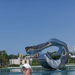  , , 57  -  31  2025