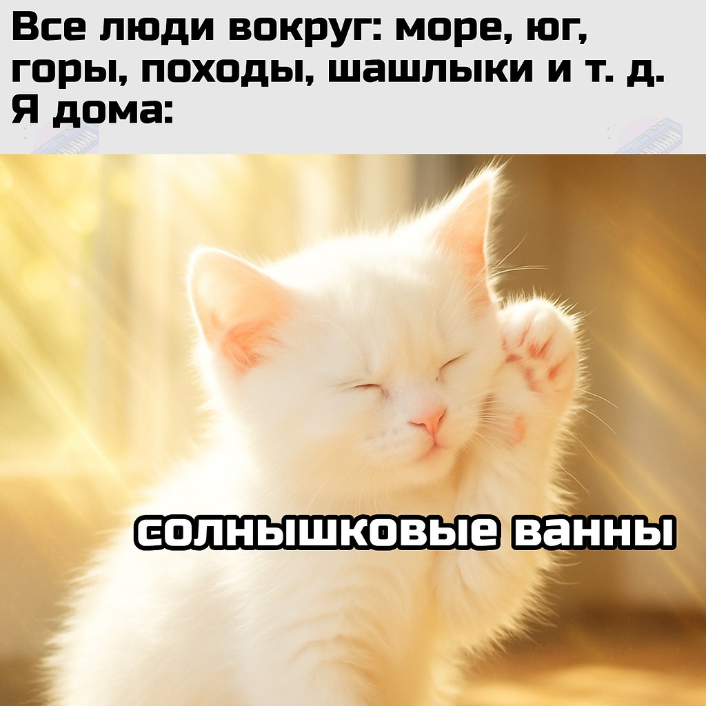   - 8  2025  12:20