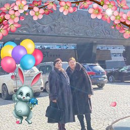 �������, �����, 64 ����