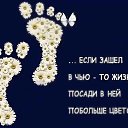 ���� �������, ��������, 56 ��� - ��������� 7 ���� 2026 � ������ ������ ��������