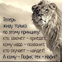 ���� �������, ���������, 44 ���� - ��������� 10 ����� 2026 � ������ ���� ����������