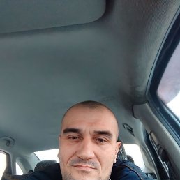 , 46 , 