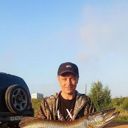 �����, ������, 52 ����