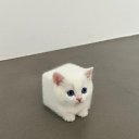 ���� ������, ������, 25 ��� - ��������� 23 ���� 2025 � ������ ���� ����������