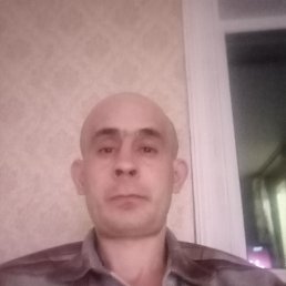 ���� ����, ���������, 39 ��� - ��������� 3 ������� 2026