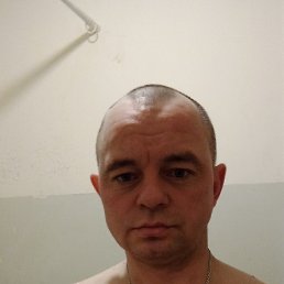 , 37, 